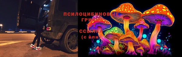 PSILOCYBIN Новокубанск