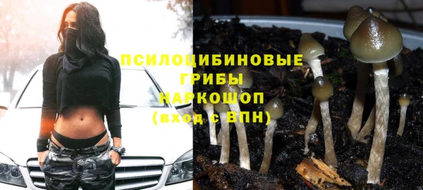 кокс Новозыбков