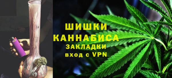 PSILOCYBIN Новокубанск