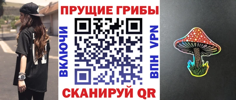 купить наркоту  Отрадное  маркетплейс состав  Галлюциногенные грибы ЛСД 
