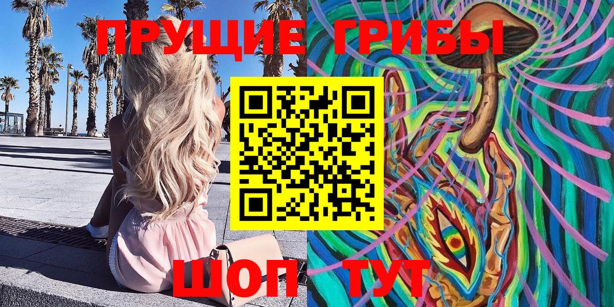 Псилоцибиновые грибы прущие грибы  Вход с VPN  Отрадное 